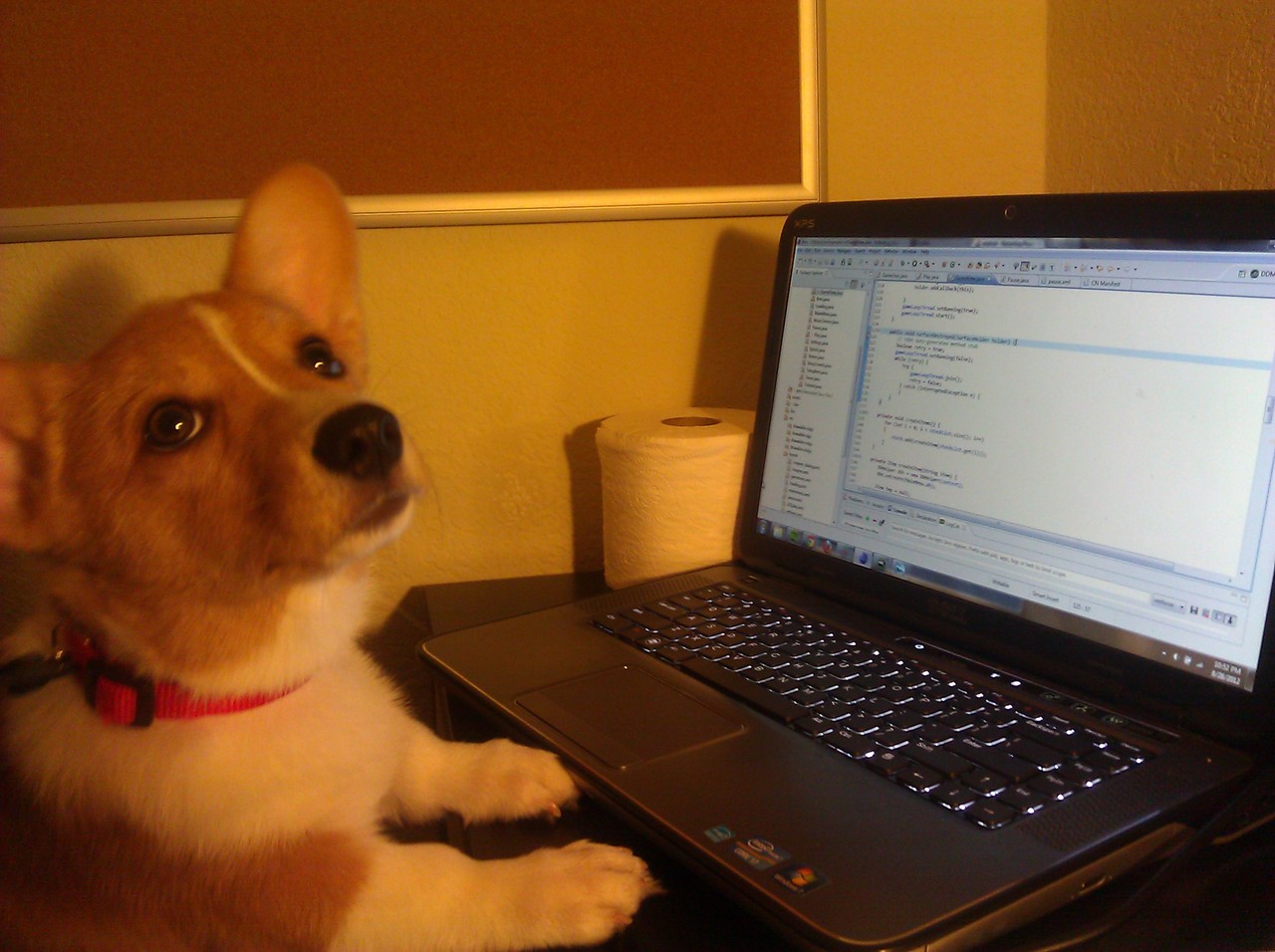 corgicomp