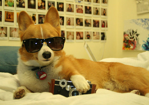 sunglasses